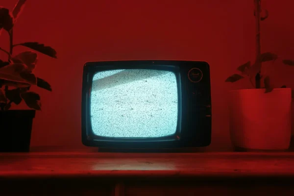 Vintage CRT television with static displayed on screen, sitting on red surface against red wall with potted plants and dried branches.